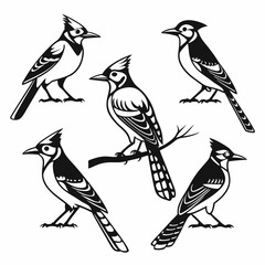 Blue Jay icon set black silhouette vector bundle