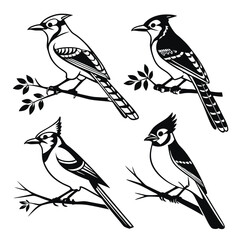 Blue Jay icon set black silhouette vector bundle