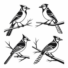 Blue Jay icon set black silhouette vector bundle