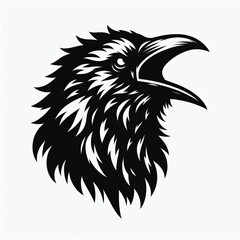 Obraz premium diferent birds silhoutee