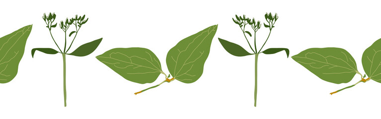 Obraz premium Leaves border on a white background. Hand-drawn illustration. Perfect for spring and summer.