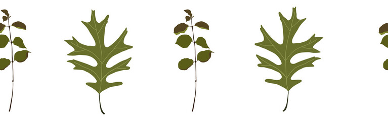 Leaves border on a white background. Hand-drawn illustration. Perfect for spring and summer.