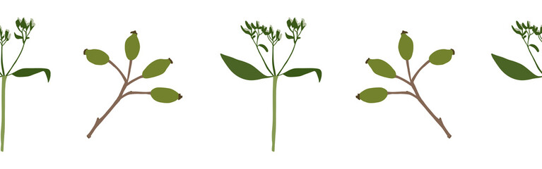 Leaves border on a white background. Hand-drawn illustration. Perfect for spring and summer.	