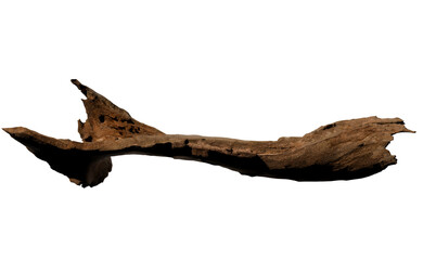 Driftwood piece, isolated on black background