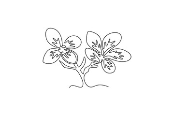Jasmine. Tree and flower concept. Single line draw design. Vector graphic illustration