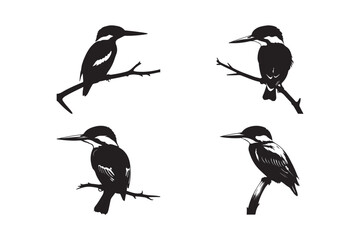 Kingfisher Bird Silhouette Set Vector Perched Bird Illustration 