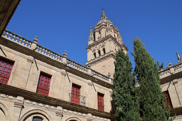cloister of a cathedral in salamanca in spain 