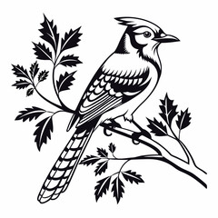 blue jay black silhouette vector