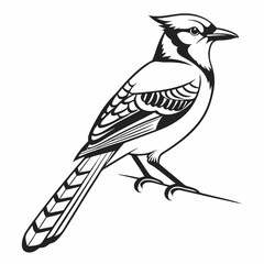 Obraz premium blue jay black silhouette vector