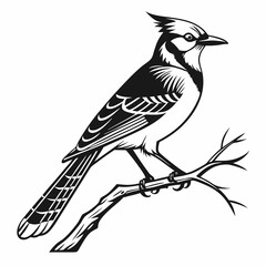 blue jay black silhouette vector
