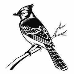blue jay black silhouette vector