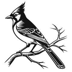 blue jay black silhouette vector