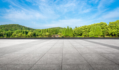 Expansive Park Landscape with Lush Green Trees and Clear Sky