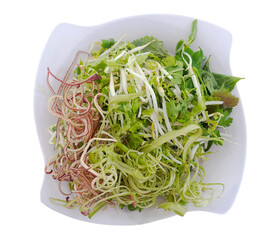 Raw vegetables served with dishes. Fresh herbs ( bitter knotgras, bean sprout, chives, banana blossom, yellow velvetleaf, water mimosa, morning glory, Mint Leave, lotus root salad )