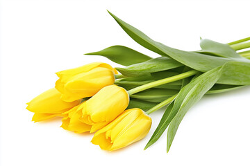 Obraz premium 아름다운 노란색 튤립 꽃다발의 클로즈업 샷