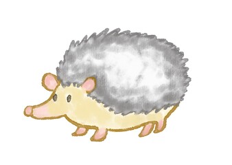 ハリネズミ