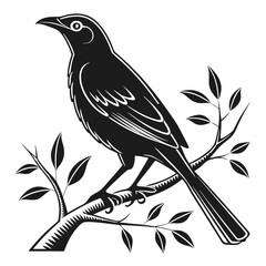 Bowerbird black silhouette icon vector