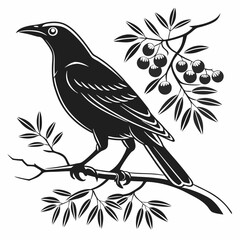 Bowerbird black silhouette icon vector