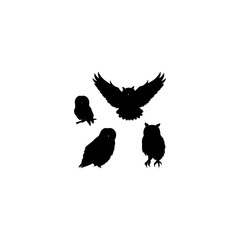 Owl collection silhouette - vector 