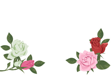 バラのイラストフレーム(下側)