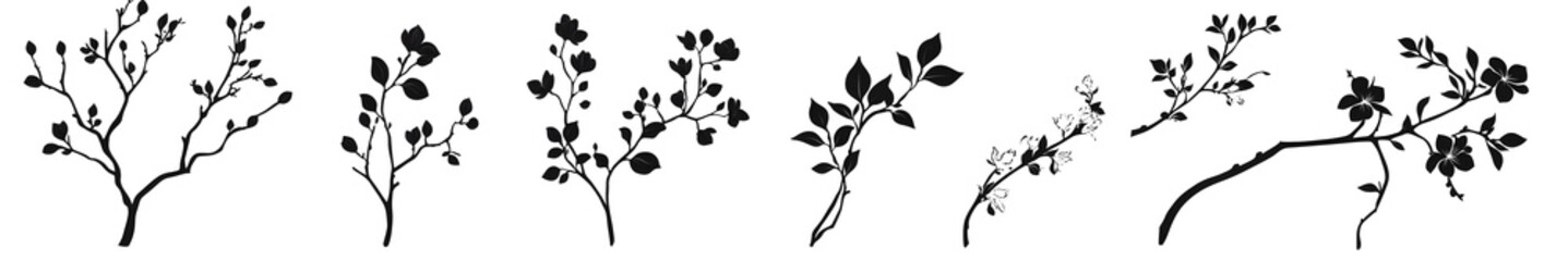 Botanical Illustration: An elegant line drawing of diverse botanical elements, offering a delicate portrayal of natural beauty, ideal for adding a touch of refined artistry to any project. 