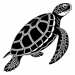Box turtle silhouette black vector