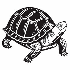Box turtle silhouette black vector