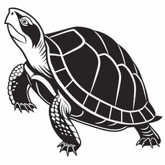 Box turtle silhouette black vector