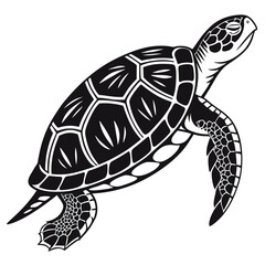 Box turtle silhouette black vector