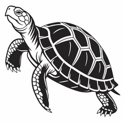 Box turtle silhouette black vector