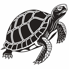 Box turtle silhouette black vector