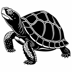 Box turtle silhouette black vector