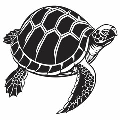 Box turtle silhouette black vector