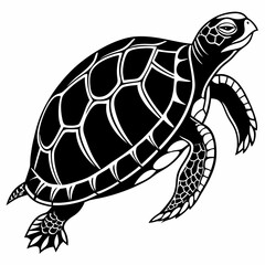 Box turtle silhouette black vector