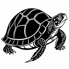 Box turtle silhouette black vector