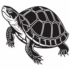 Box turtle silhouette black vector