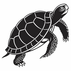 Box turtle silhouette black vector