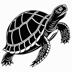 Box turtle silhouette black vector