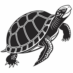 Box turtle silhouette black vector