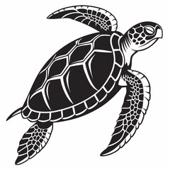 Box turtle silhouette black vector