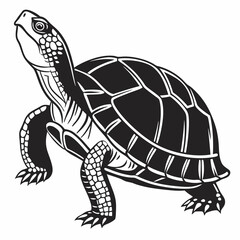 Box turtle silhouette black vector