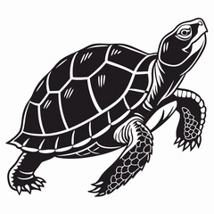 Box turtle silhouette black vector