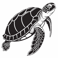 Box turtle silhouette black vector