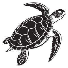 Box turtle silhouette black vector