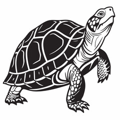 Box turtle silhouette black vector