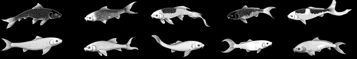 A School of Fish: a graphic array of fish swimming, showcasing diverse species in grayscale with black background.