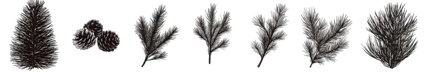 Obraz premium Pinecone and Branches: Delicate illustration of pinecones and various branches in shades of grey and black, perfect for conveying a sense of natural simplicity and rustic charm.
