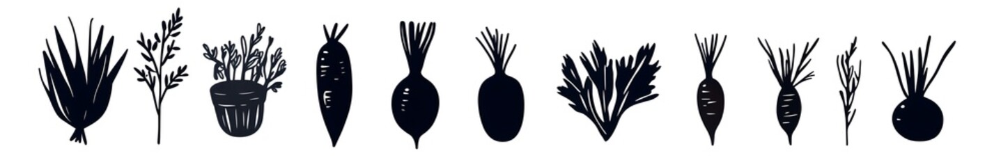 Garden Variety Vegetables: A minimalist still-life illustration showcasing an array of fresh, garden-picked vegetables arranged with artistic flair.