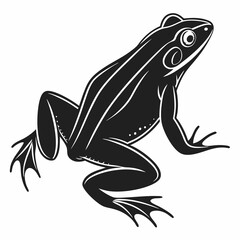 Bullfrog silhouette black vector