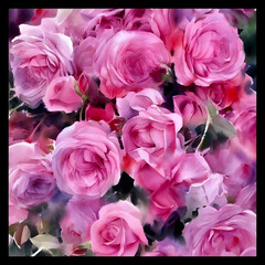 Shawl Scarf Pattern Graphic Design
